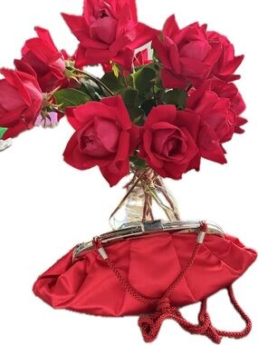 Red Satin Frame Clutch Purse
